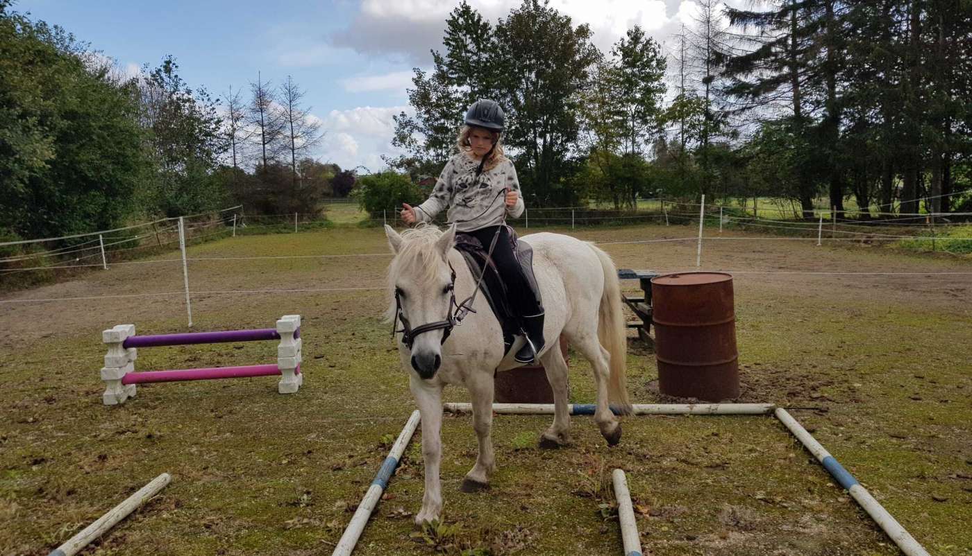 Håndtere en hest.